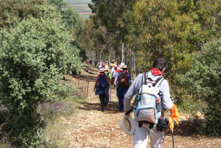 Cáceres conmemora el 8M con una ruta senderista por la igualdad