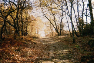 Comienzan los preparativos para la Ruta del Emperador que acogerá en febrero La Vera