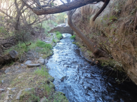 La Asociación de Comunidades de Regantes Históricas y Tradicionales recuperará antiguas acequias