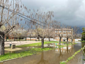 La situación de emergencia obliga a suspender las clases en un colegio de Moraleja