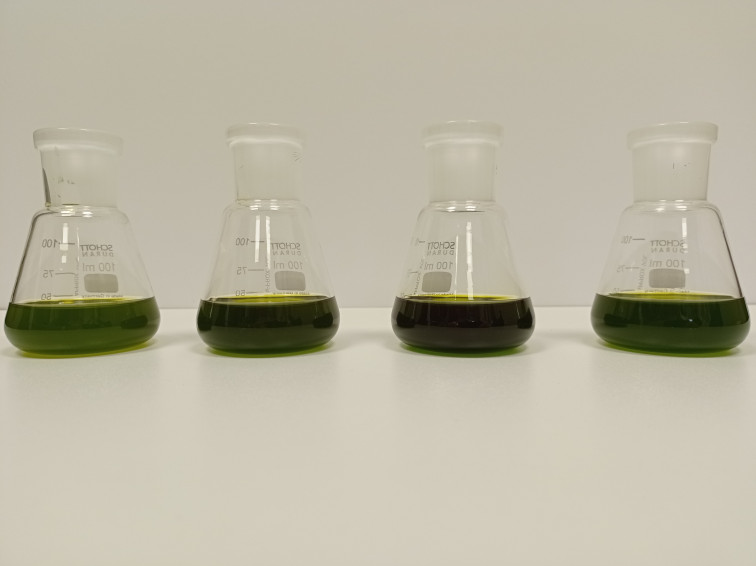 Un estudio extremeño analiza cómo afectan las frituras a los aceites de oliva virgen extra