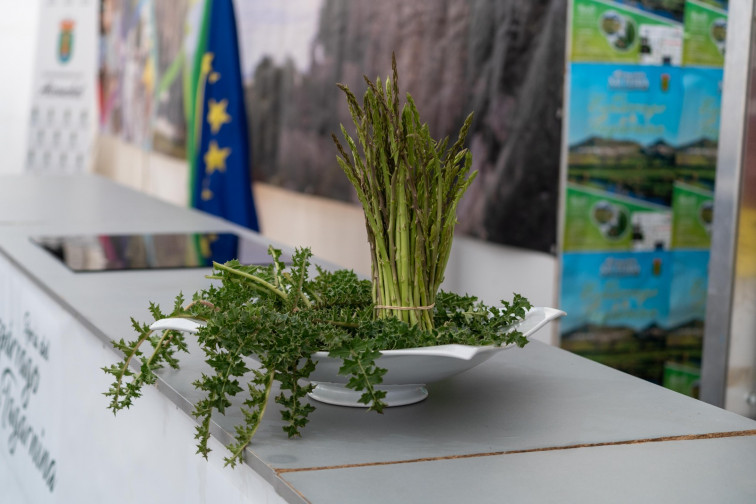 Riqueza natural y gastronómica en la inauguración de la XII Feria del Espárrago y la Tagarnina de Alconchel