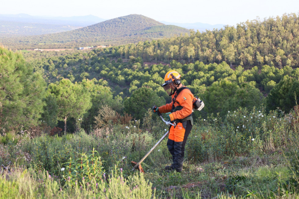 El Infoex trabaja en labores preventivas ante un verano de riesgo alto por la abundancia de pastos