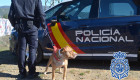 Se fuga uno de los implicados en el tiroteo de Plasencia en el que murió una niña de dos años