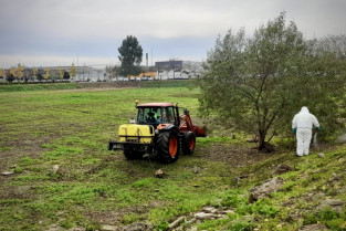 Badajoz refuerza el servicio de limpieza y desbroce de solares con nuevas actuaciones