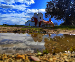 Moraleja celebra este domingo la Romería Virgen de la Vega