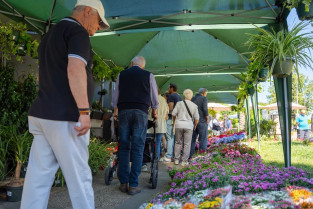 El Mercado de Flores llena de vida y color el Paseo de Roma de Mérida