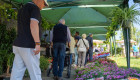 El Mercado de Flores llena de vida y color el Paseo de Roma de Mérida
