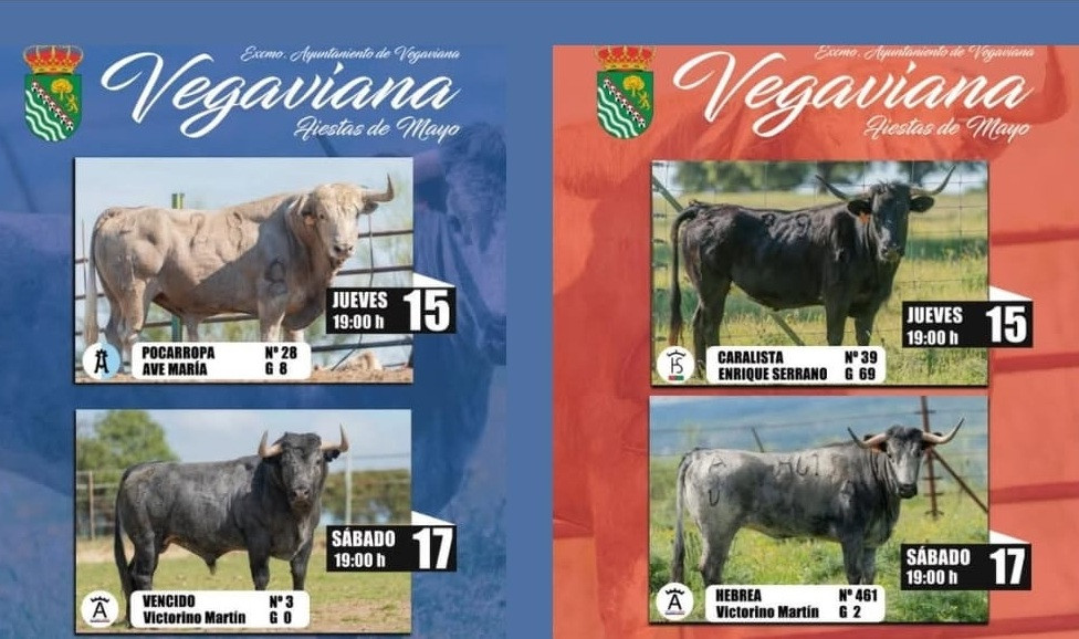 Toros vegaviana