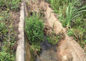 Asaja Extremadura acusa a las confederaciones del Tajo y Guadiana de agravar la 'ruina del campo'