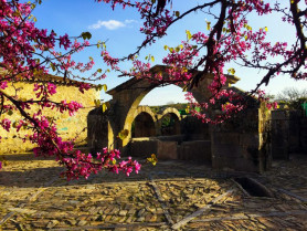 El Valle del Alagón florecerá este fin de semana con talleres, rutas y arte