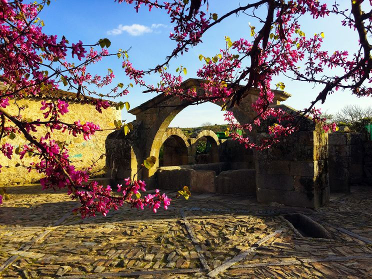 El Valle del Alagón florecerá este fin de semana con talleres, rutas y arte