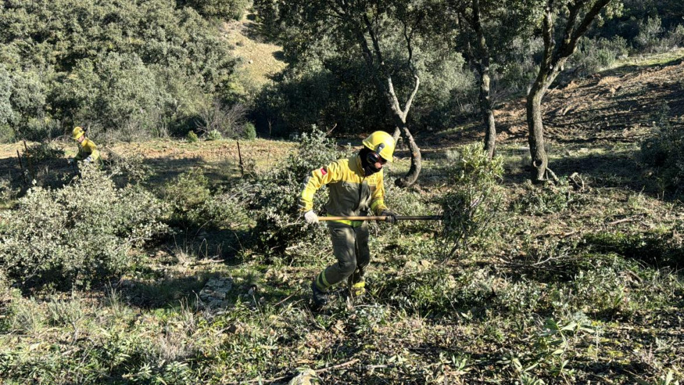 Coria saca a licitación los trabajos de desbroce para limpiar las parcelas municipales