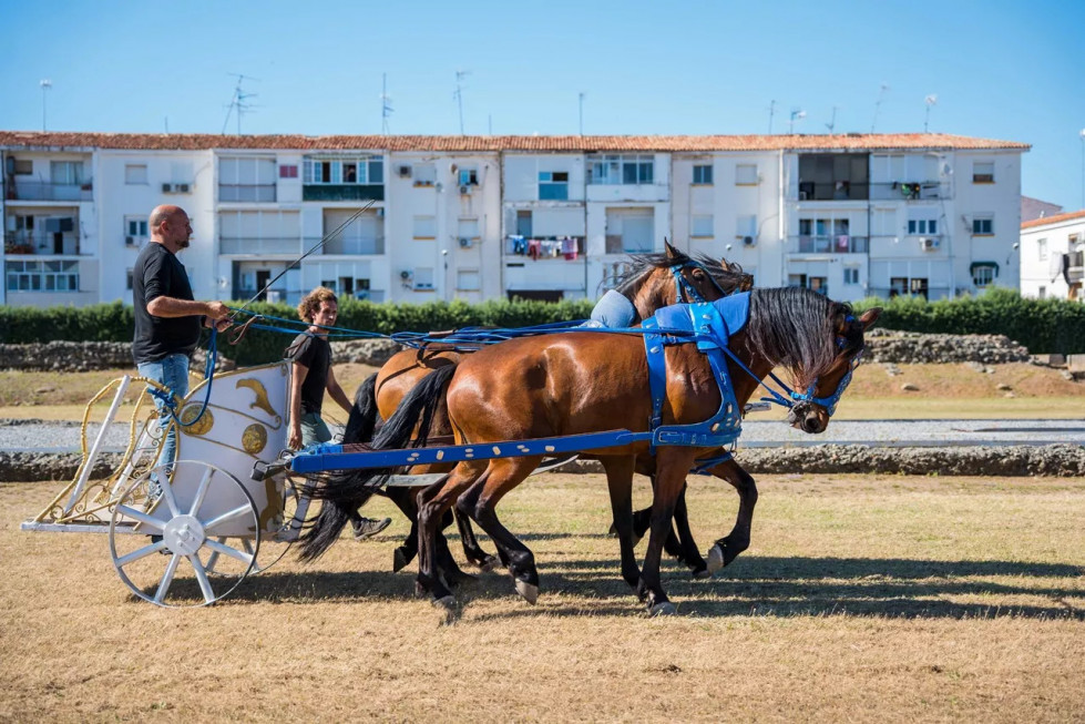 PACMA denuncia la carrera de cuadrigas en Mérida por posible maltrato animal