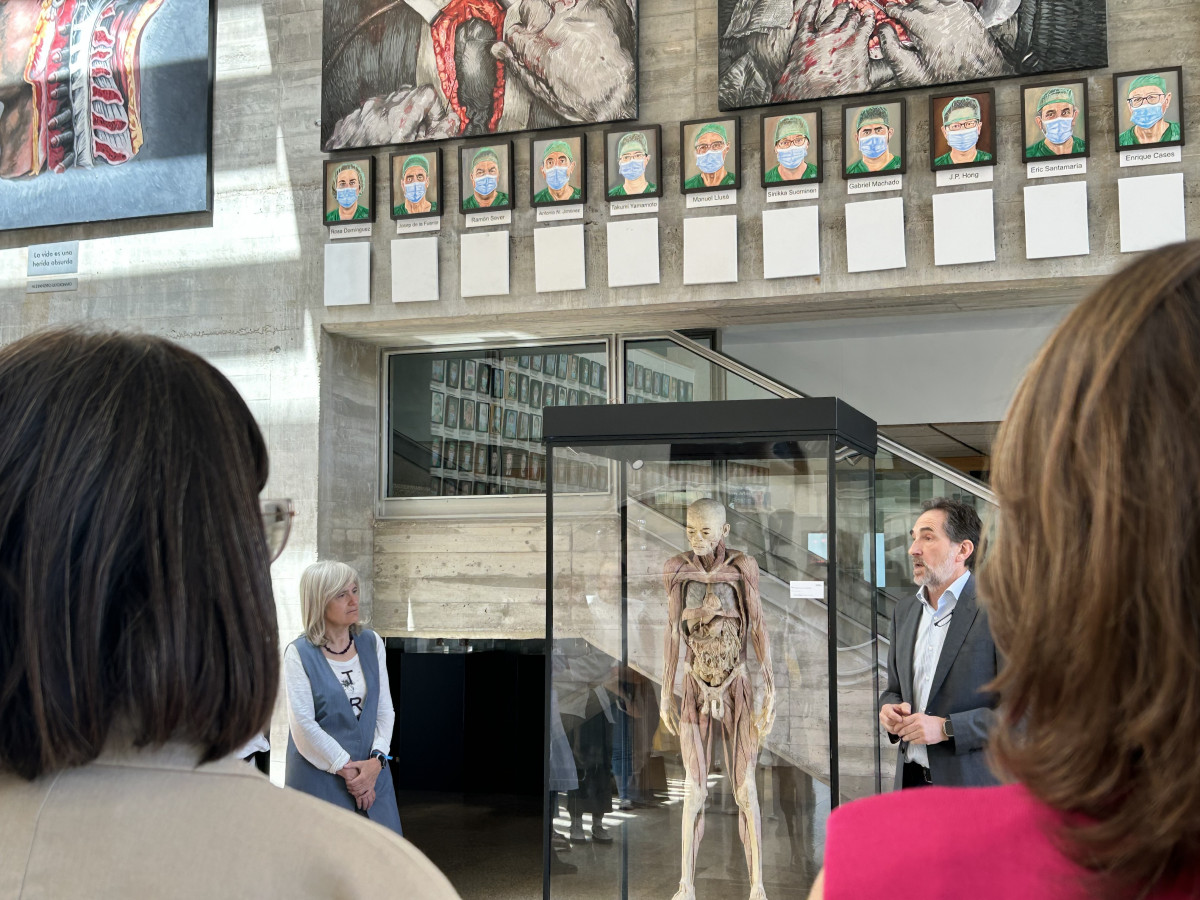 Human bodies caceres
