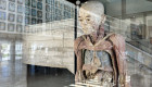 Doce cuerpos humanos reales conservados mediante plastinación se pueden ver ya en Cáceres