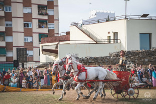Cuando Mérida rugió como el Imperio Romano: éxito rotundo de la carrera de cuadrigas