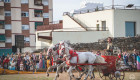 Cuando Mérida rugió como el Imperio Romano: éxito rotundo de la carrera de cuadrigas