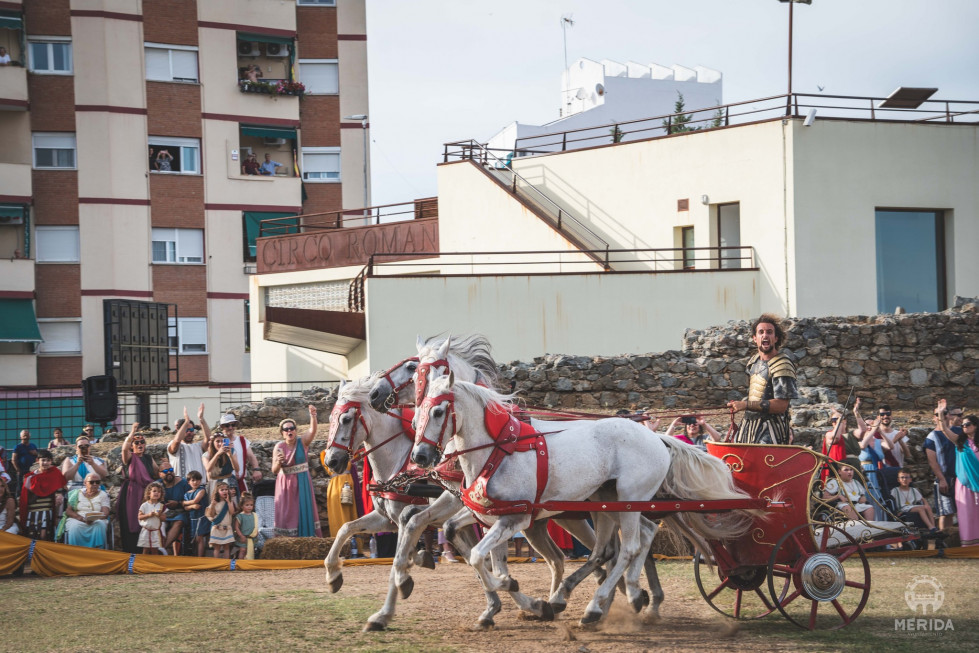 Cuando Mérida rugió como el Imperio Romano: éxito rotundo de la carrera de cuadrigas