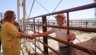 El mundo rural cobra protagonismo en Torremocha gracias a su nueva feria de ganado