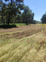 Talayuela inicia trabajos en los cortafuegos del pinar ante la temporada de alto riesgo de incendios