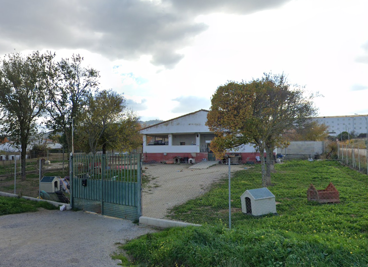 Cáceres duplica el apoyo económico al refugio de animales San Jorge con 90.000 euros