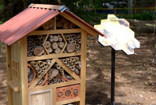 Jarandilla acoge un taller pionero sobre hoteles para abejas solitarias en el marco del festival Insectopia
