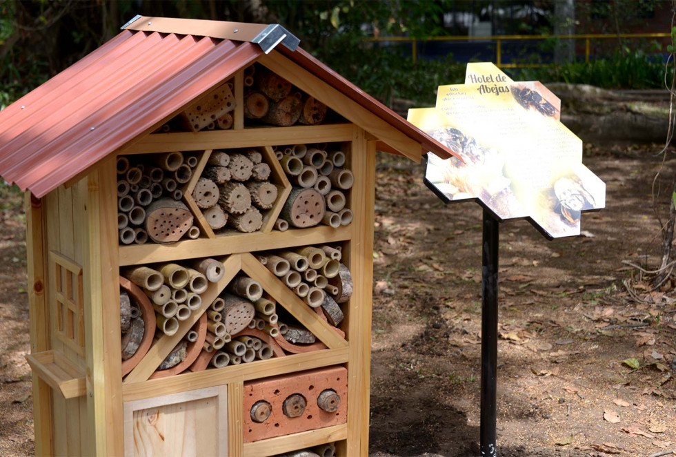 Jarandilla acoge un taller pionero sobre hoteles para abejas solitarias en el marco del festival Insectopia