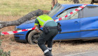 Un joven herido en un accidente de tráfico al chocar contra un árbol cerca de Moraleja