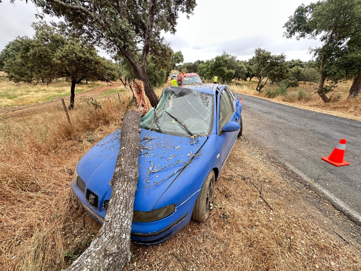 Accidente La Moheda cerca de Moraleja (13)