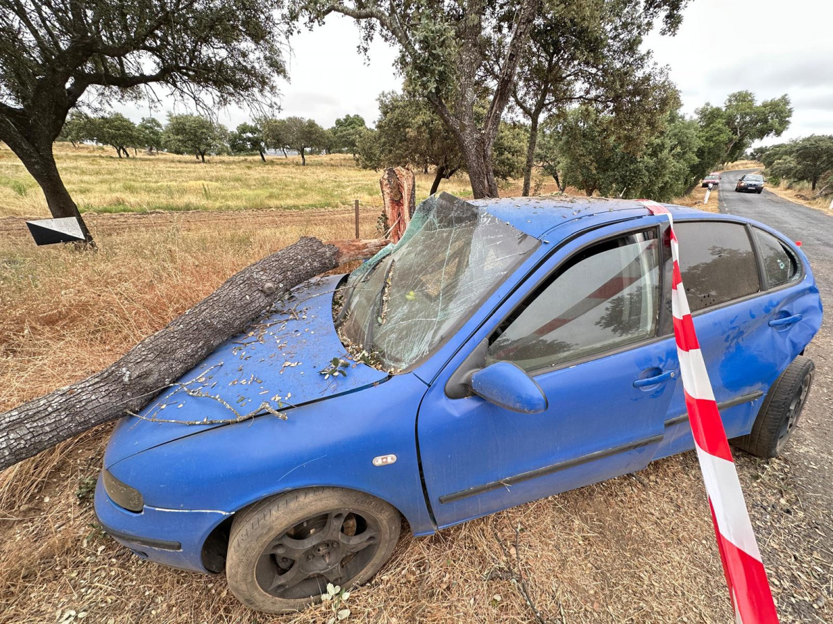 Accidente La Moheda cerca de Moraleja (7)