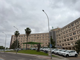 La Junta adquiere 23 vehículos de cuidados paliativos con una inversión de 360.000 euros