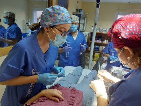 Bajan un 17%  las listas de espera quirúrgicas y se suman 218 médicos el Servicio Extremeño de Salud