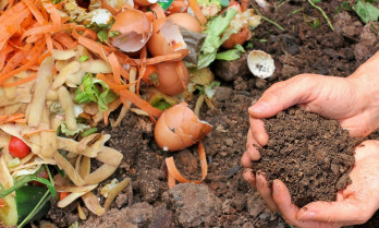Lo que tiramos, nos puede salvar: la UEx descubre el poder oculto de los residuos vegetales