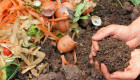 Lo que tiramos, nos puede salvar: la UEx descubre el poder oculto de los residuos vegetales