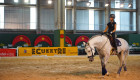 La Feria del Caballo y el Toro de Badajoz arranca con actividades para todos los públicos