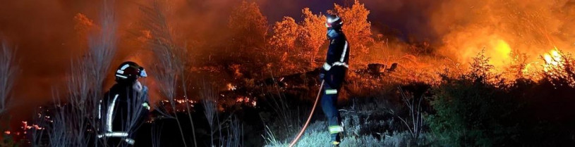 Un incendio nocturno arrasa cuatro hectáreas de pasto y arboleda en las inmediaciones de Badajoz