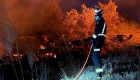 Un incendio nocturno arrasa cuatro hectáreas de pasto y arboleda en las inmediaciones de Badajoz