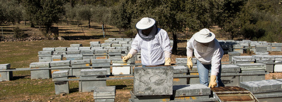 UPA-UCE Extremadura logra un acuerdo para instalar colmenas en terrenos del Guadiana