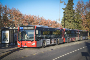 El abono de transporte urbano de Mérida seguirá siendo gratuito en el segundo semestre de 2025