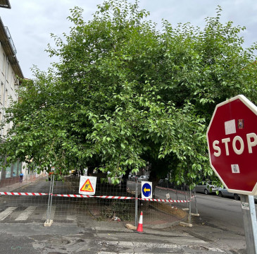 Zamora guarda silencio por las víctimas del atentado de Barcelona 