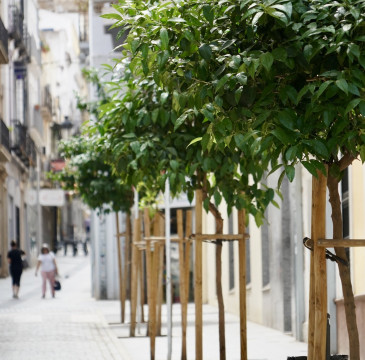 Zamora guarda silencio por las víctimas del atentado de Barcelona 