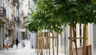 Badajoz plantará más de 2.000 nuevos árboles por 519.000 euros