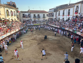Nuevo incidente en los Sanjuanes de Coria: un hombre arrollado por un toro, con pronóstico reservado