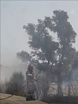 Varias dotaciones de bomberos intervienen en la extinción del incendio de un vehículo cerca de Moraleja