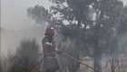Varias dotaciones de bomberos intervienen en la extinción del incendio de un vehículo cerca de Moraleja