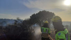 Controlado el incendio declarado entre Malpartida de Plasencia y Plasencia