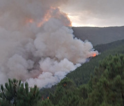 Medios del Infoex luchan contra un incendio declarado en Caminomorisco