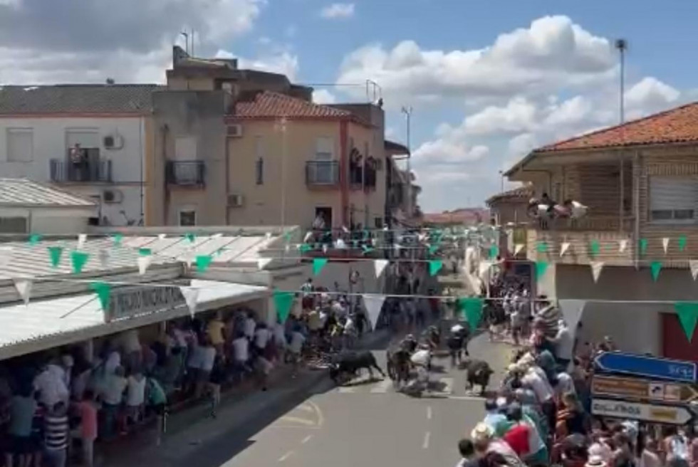 Emocionante primer encierro de San Buenaventura en Moraleja con los patas blancas de Victorino Martín