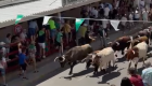 Los toros de Villamarta deslumbran en un encierro limpio en Moraleja